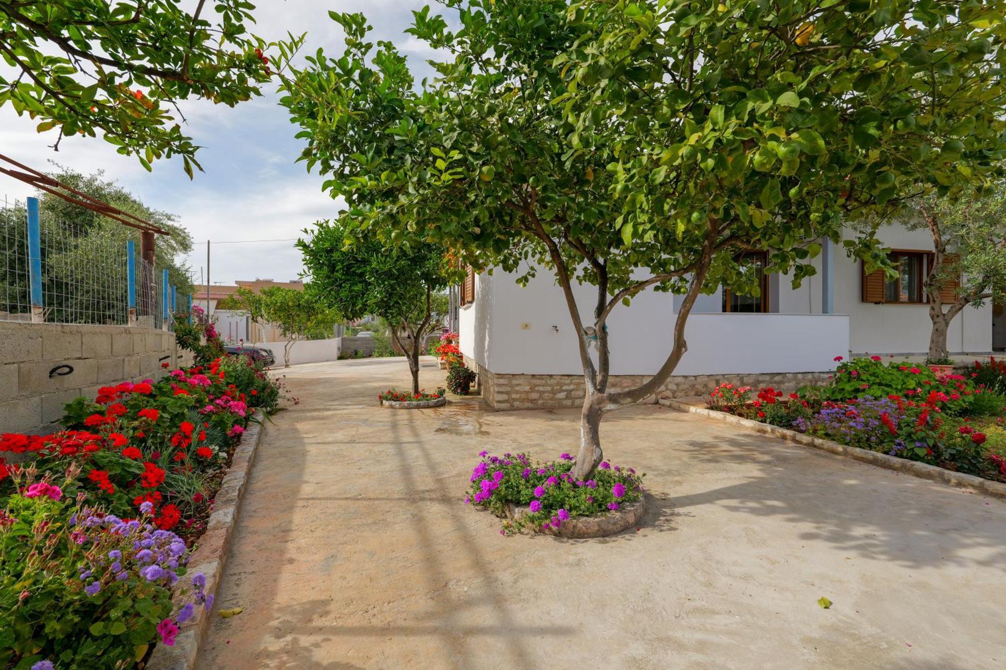 Brahimi Guest House クサミル エクステリア 写真